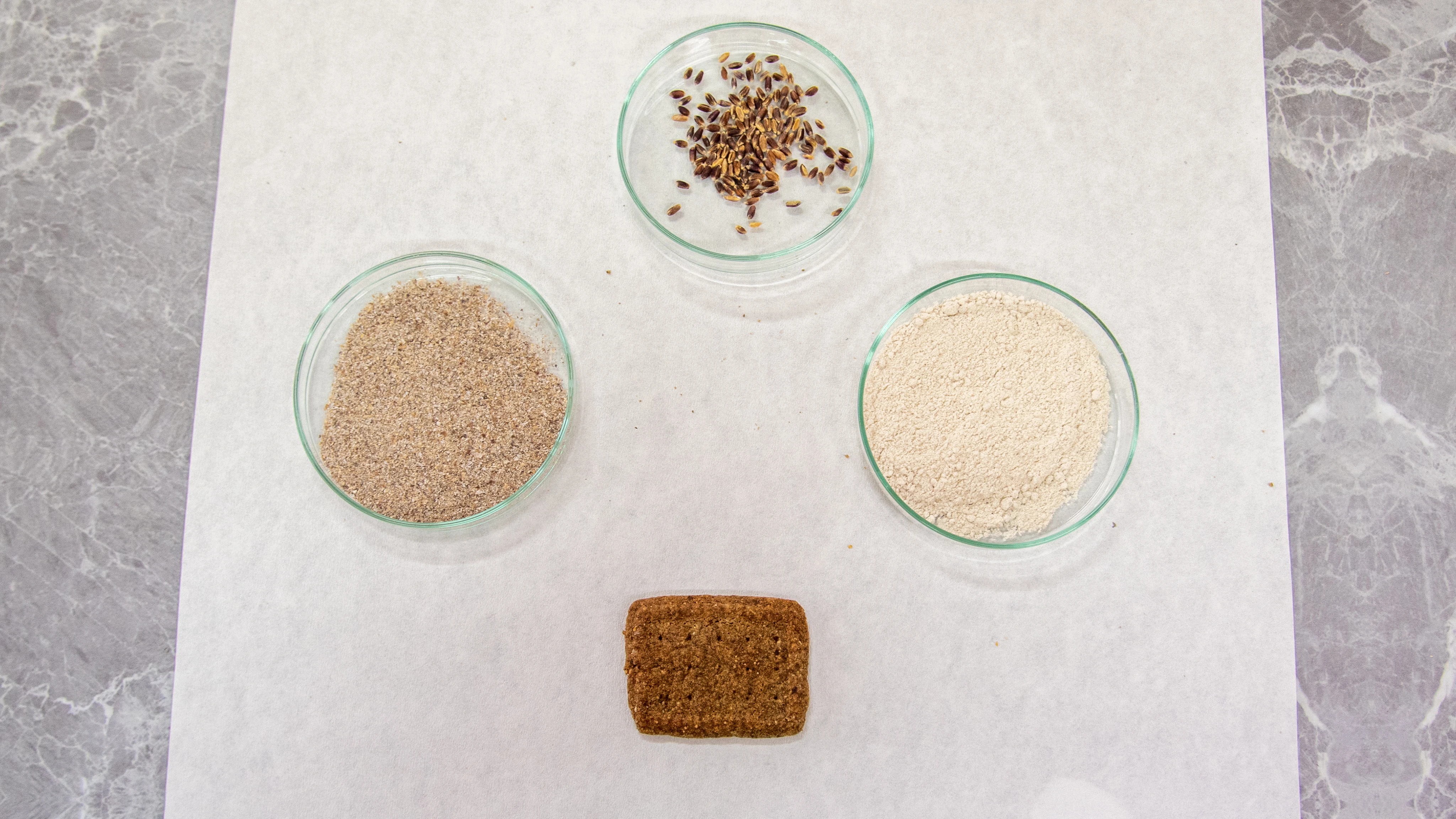 Alzheimer, diyabet ve kansere karşı renkli buğdaylardan bisküvi üretildi